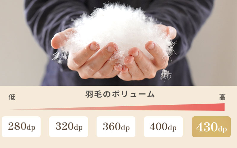 ダウンパワーは430dp以上