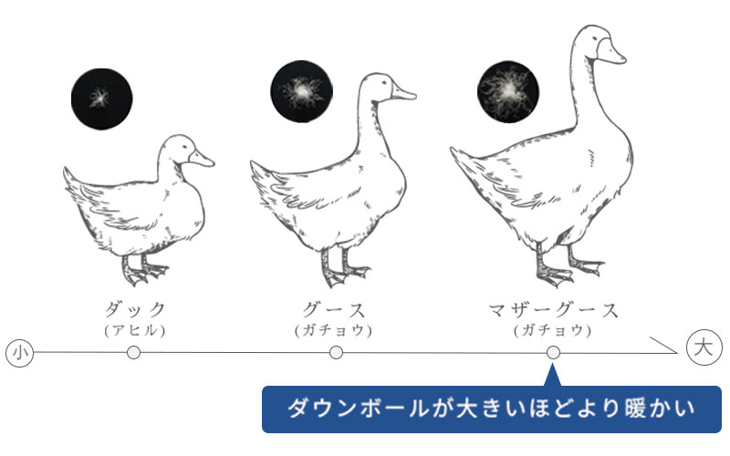 マザーグースダウン93％、1.2kg使用