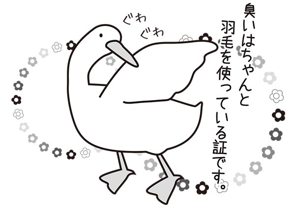 臭いはちゃんと羽毛を使っている証です