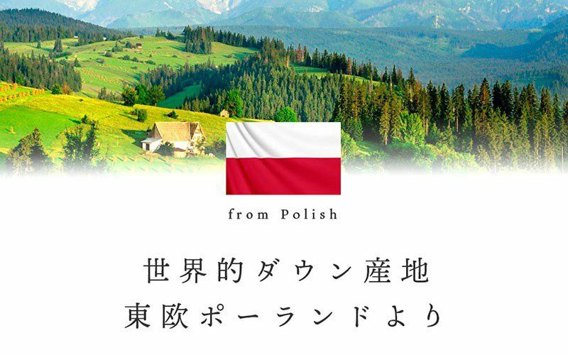 伝説の羽毛布団 ポーランド産 ホワイトダックダウン93% シングルロング