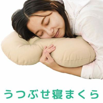 西川リビング プラレール ミニ抱き枕 クッション （全長約31cm）【完売