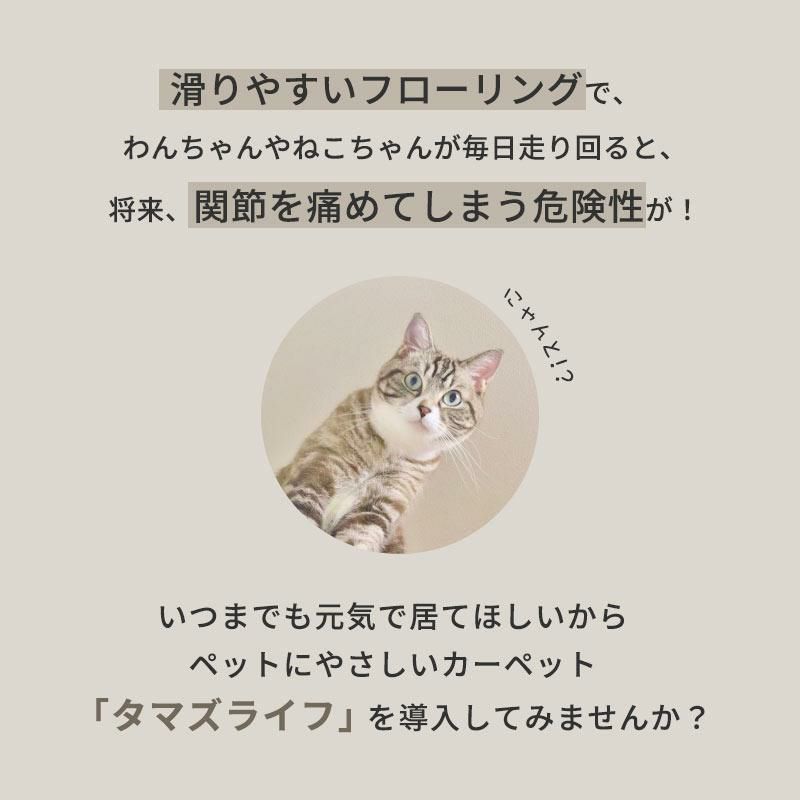 日本製抗菌防臭 ペットの爪がひっかりくい リビングカーペット タマズライフ 江戸間3帖 ベージュ