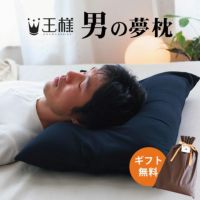 おすすめ ビーズ枕 | おしゃれ枕通販 ねごこち本舗 本店