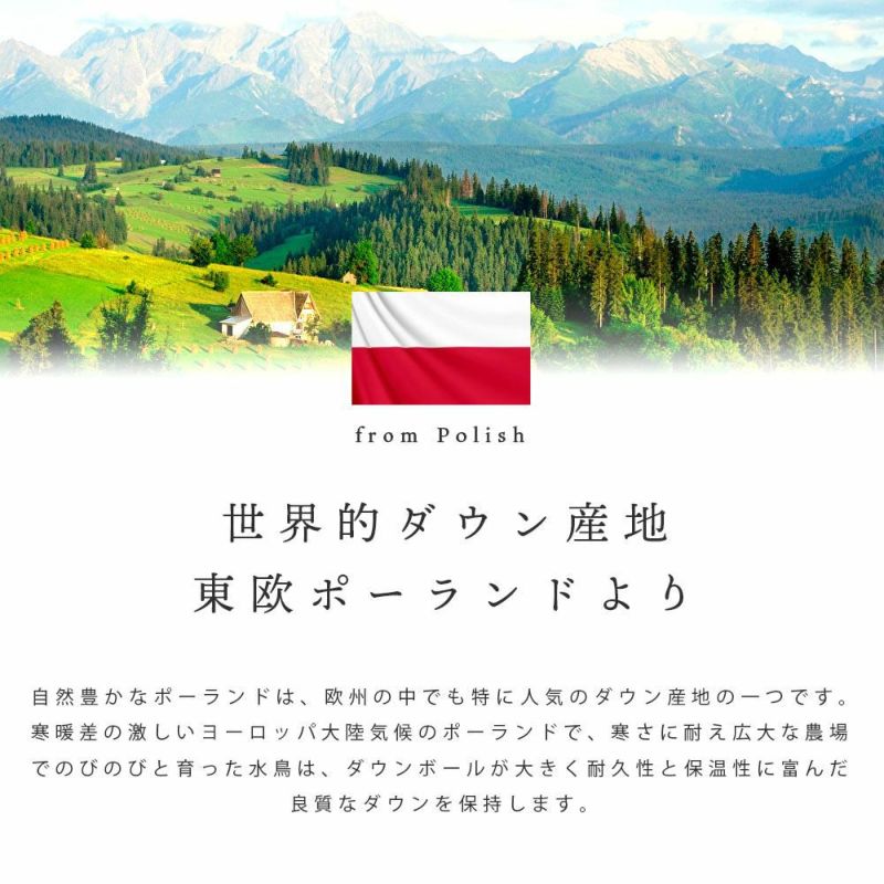 ポーランド産 ダウン93% 羽毛布団 二層キルト 威風堂々 シングル ポーランド産 ダウン93% 羽毛布団 二層キルト 威風堂々 シングル