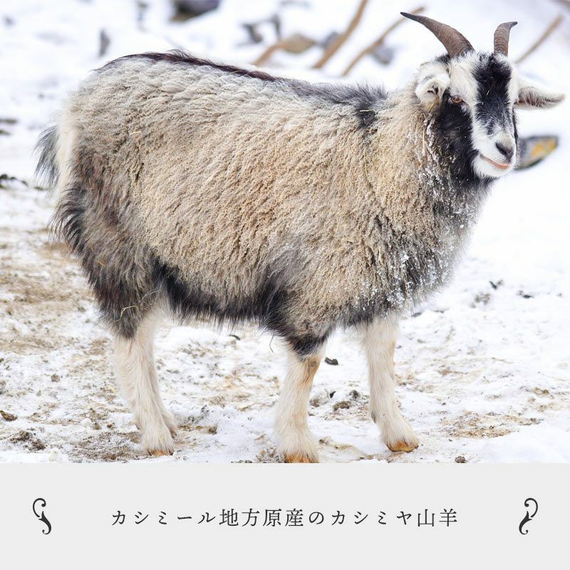 日本製 カシミヤ毛布 スタンダード シングルサイズ 140x200cm S