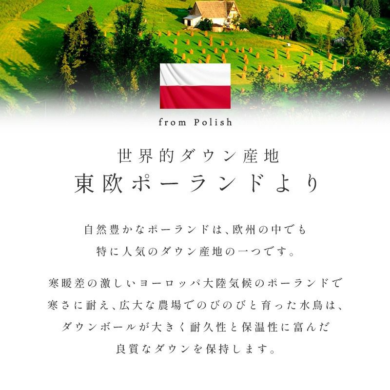 羽毛布団 2枚合わせ ポーランド産 グース ダウン93％ 超長綿 60