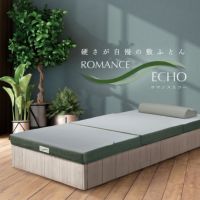 ロマンスエコー　シングル ロマンス小杉 ロマンスエコー シングル (マットレス) 価格比較