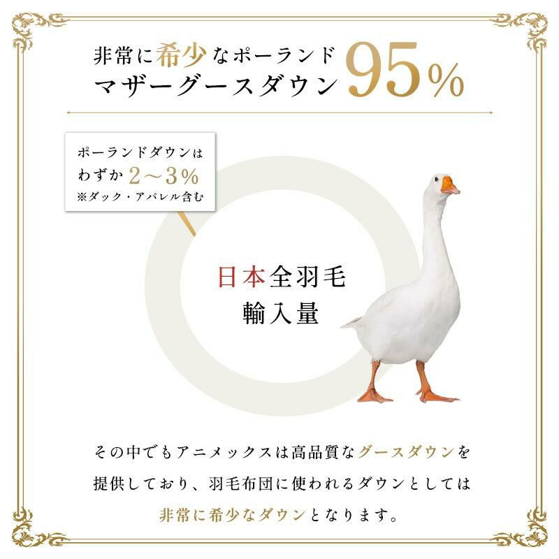 ANIMEX ポーランド産 ホワイトマザーグースダウン95% 2枚合わせ 羽毛 