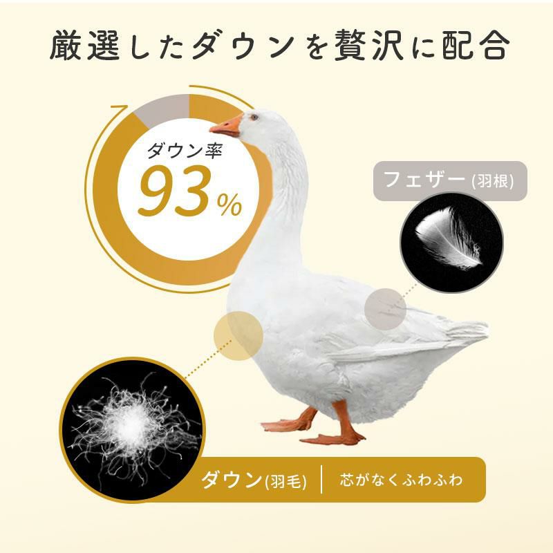ETRO エトロ 羽毛布団 2枚組 ダウン フェザー 綿 ホワイトダウン（ふわ 