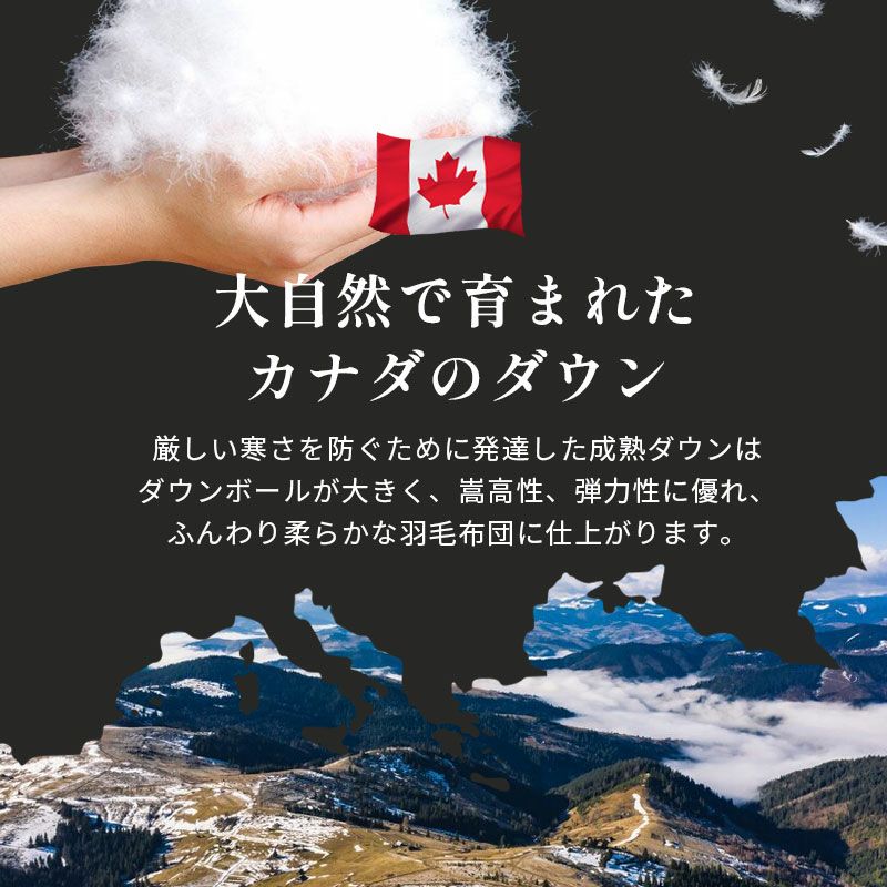 京都羽毛 カナダ産 ホワイトダックダウン93% 羽毛布団 シングルロング
