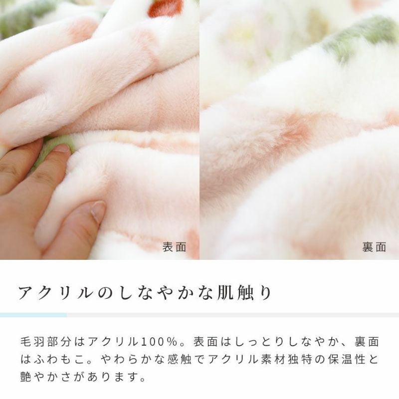 西川 WEDGWOOD ウェッジウッド アクリルニューマイヤー毛布
