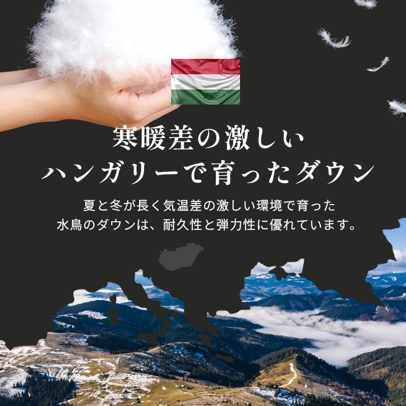 京都羽毛 ハンガリー産 ホワイトグースダウン93% 羽毛布団 シングル 超