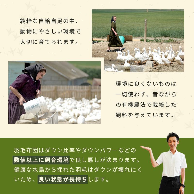 ☆西川のカバープレゼント 京都羽毛 マザーグースダウン95% 羽毛布団 