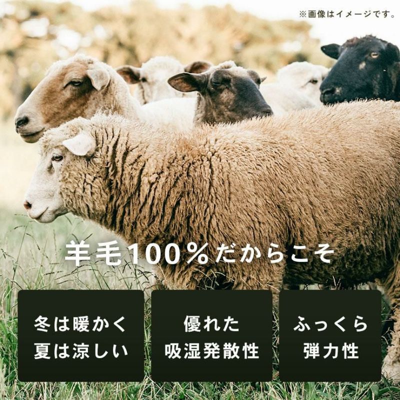 西川 SLEEPure 羊毛敷き布団 シングル 100×200cm
