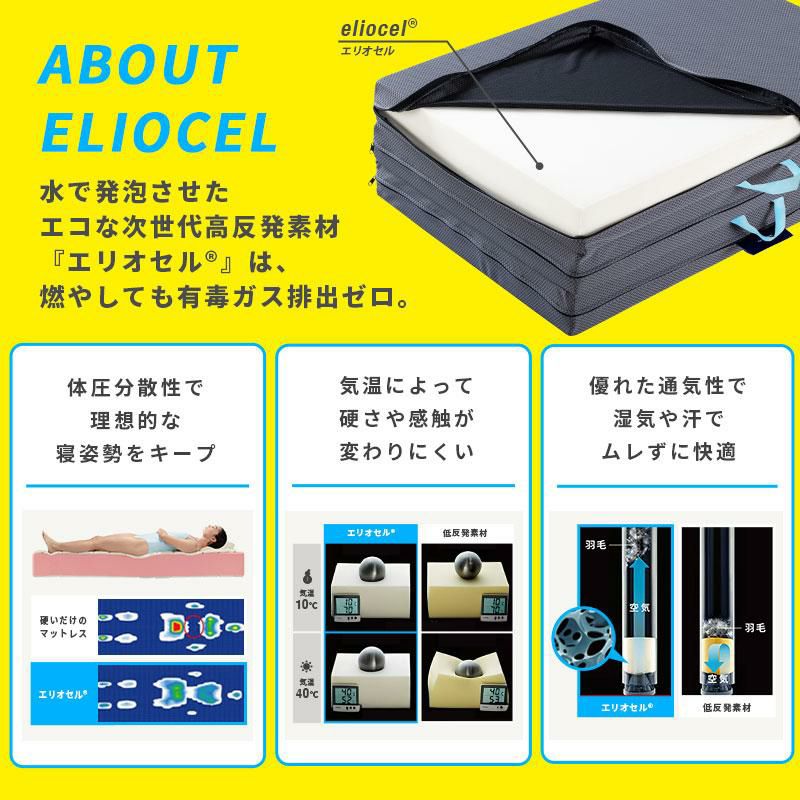 3月限定5％off中】マニフレックス サステナブルウイング 三つ折り 