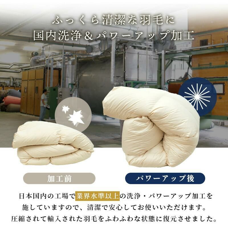 完売】ロマンス小杉 グースダウン95% 羽毛布団 シングルロング