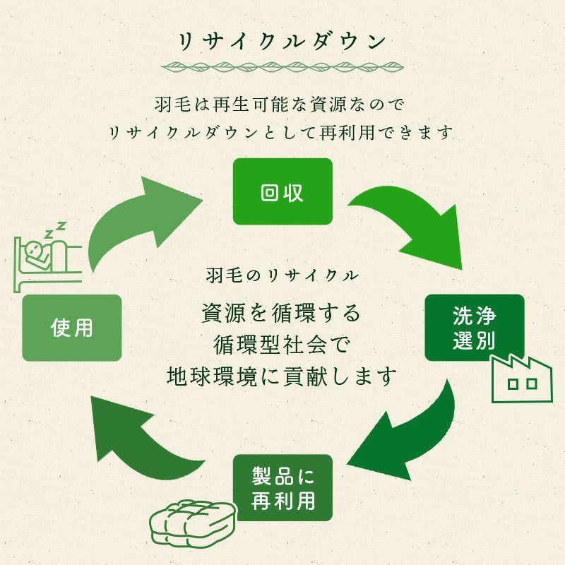 当社限定品日本製ダウンピローパイプレイヤード50×70cm羽毛枕リサイクルダウンピロー羽根まくら羽枕横向き寝返り安眠肩こりいびき京都羽毛ふっくら無地シンプル自社製造「京のてしごと環」