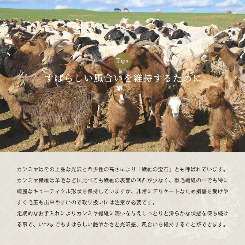 西川の今治タオルプレゼント】 カシミヤ毛布 シングル ブランケット